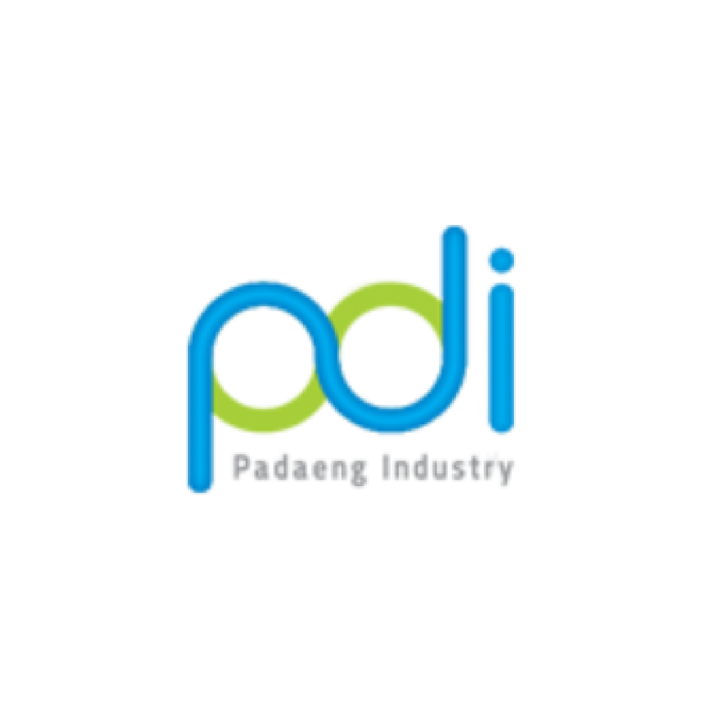 PYI Consulting Company Limited